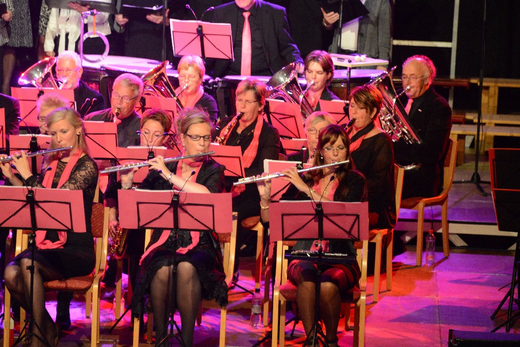 ../Images/Jubileumconcert 100 jaar Harpe Davids 110.jpg